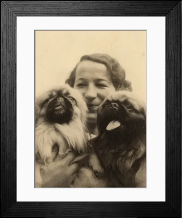 Framed Print : Woman with two Pekingese dogs Framed Print : Woman with two Pekingese dogs