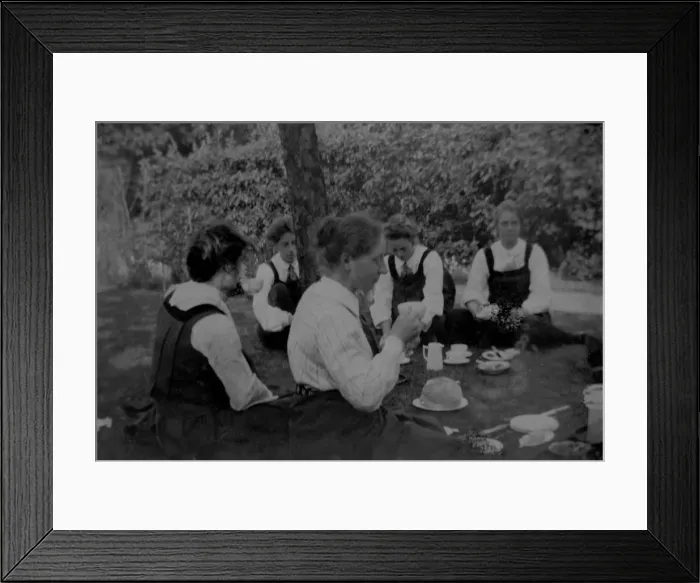 Framed Print : Students on a picnic Framed Print : Students on a picnic