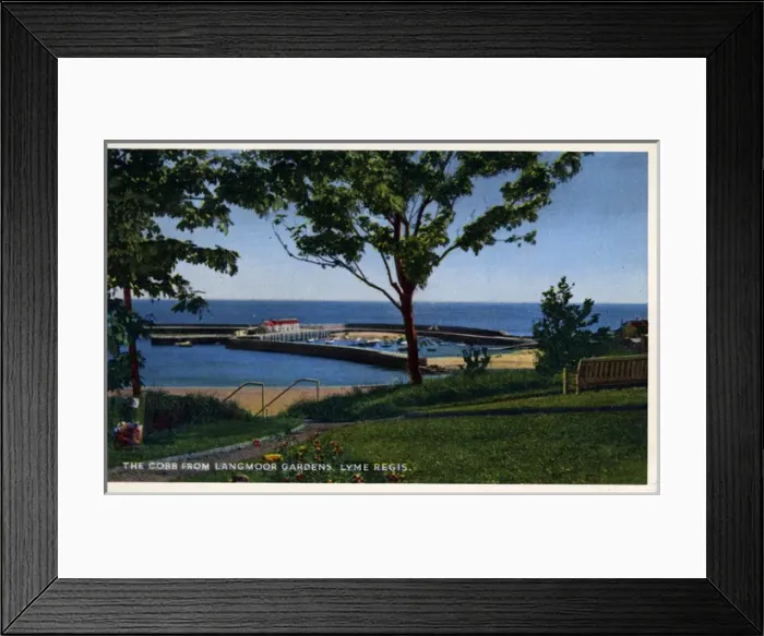 Framed Print : View of the Cobb from Langmoor Gardens, Lyme Regis, Dorset Framed Print : View of the Cobb from Langmoor Gardens, Lyme Regis, Dorset