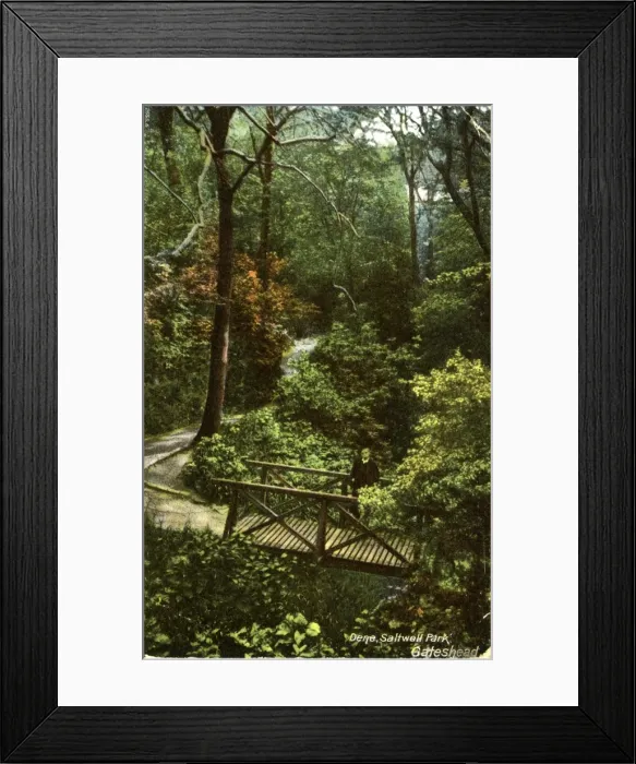 Framed Print : The Dene, Saltwell Park, Northumberland Framed Print : The Dene, Saltwell Park, Northumberland