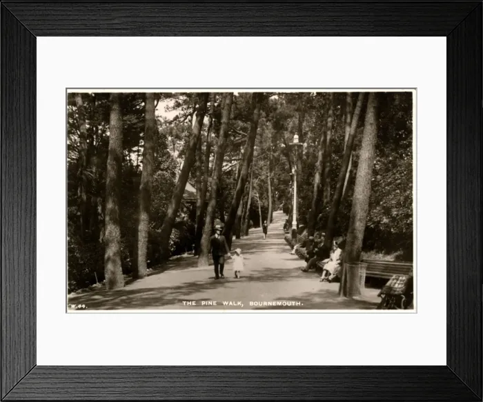 Framed Print : The Pine Walk, Bournemouth, Dorset Framed Print : The Pine Walk, Bournemouth, Dorset