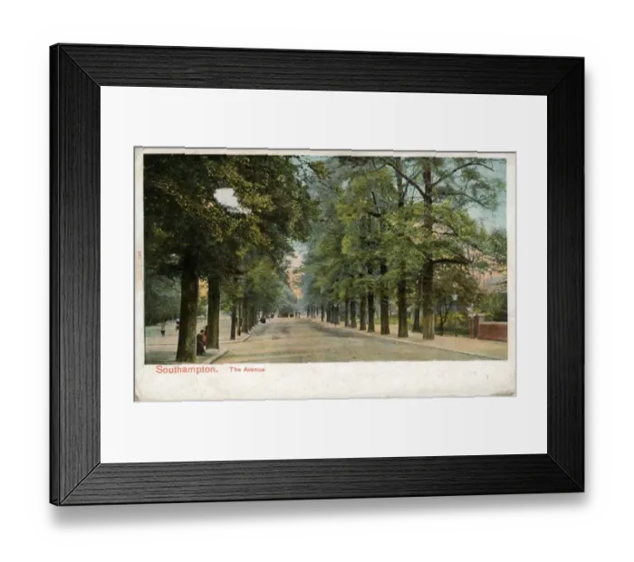 Framed Print : The Avenue, Southampton, Hampshire Framed Print : The Avenue, Southampton, Hampshire