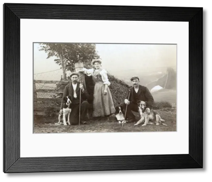 Framed Print : A woman, two shepherds and three sheepdogs Framed Print : A woman, two shepherds and three sheepdogs