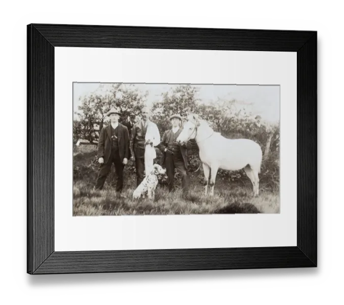Framed Print : Three men with dalmatian and pony Framed Print : Three men with dalmatian and pony
