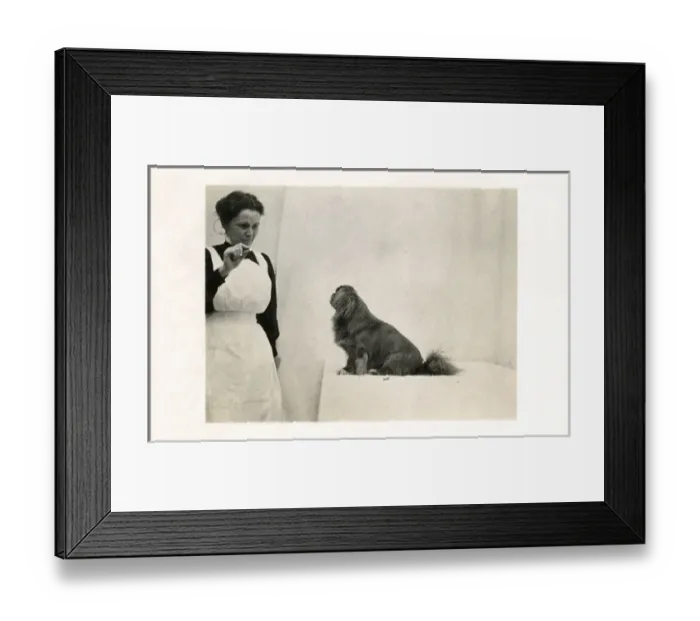 Framed Print : Woman and Pekingese dog Framed Print : Woman and Pekingese dog