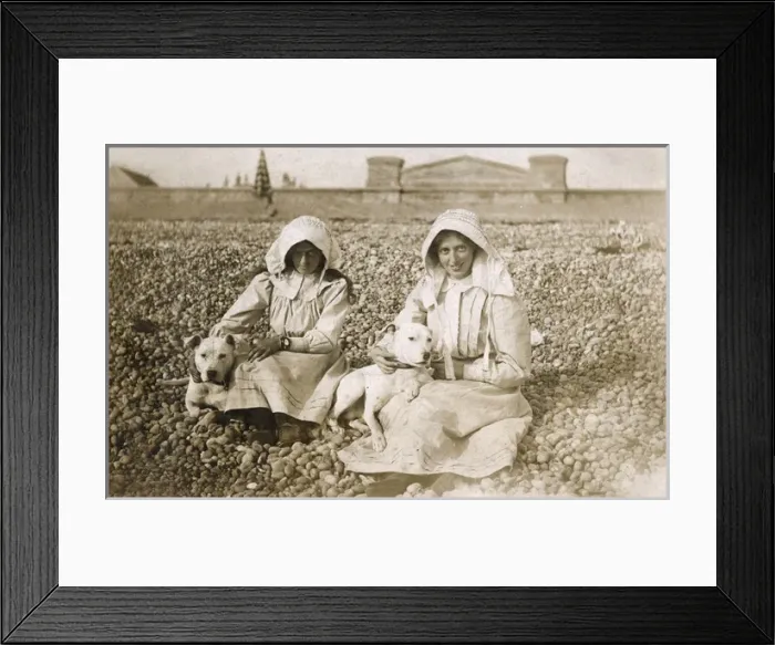 Framed Print : Two women on beach with bull terriers Framed Print : Two women on beach with bull terriers