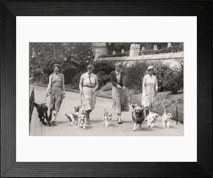 Framed Print : Four women with dogs, Bournemouth Framed Print : Four women with dogs, Bournemouth