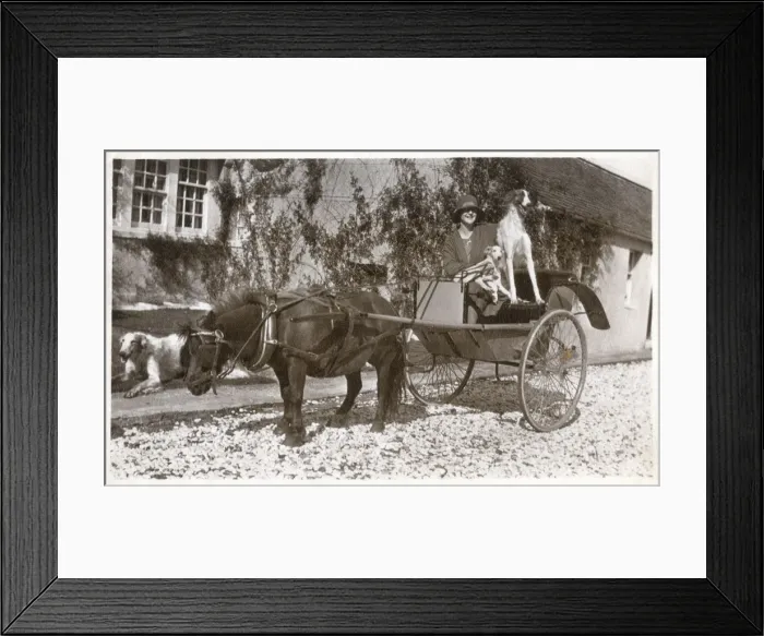 Framed Print : Mrs K McNeil of Glasgow with three Borzois Framed Print : Mrs K McNeil of Glasgow with three Borzois