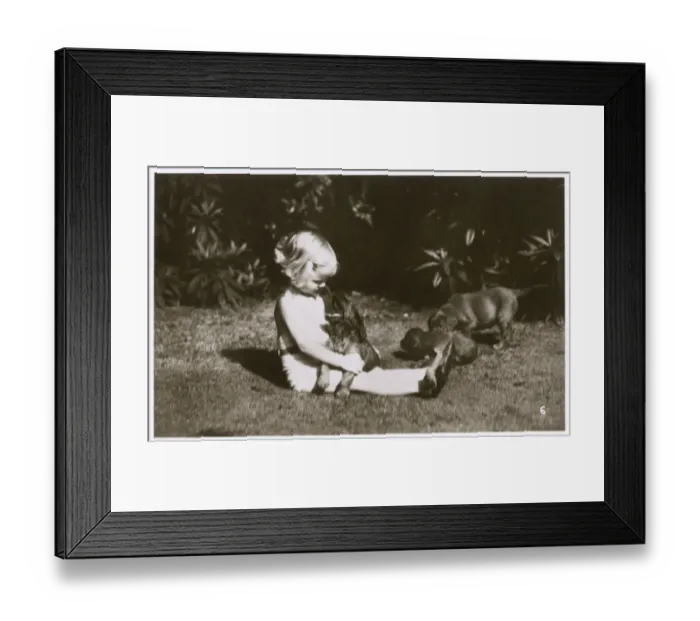 Framed Print : Girl in a garden with Irish Setter puppies Framed Print : Girl in a garden with Irish Setter puppies
