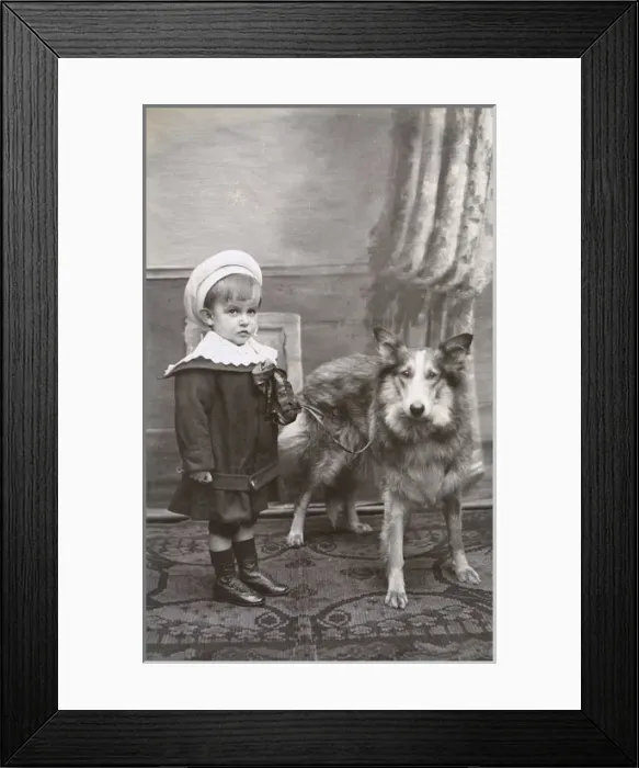 Framed Print : Studio portrait, little boy with a dog Framed Print : Studio portrait, little boy with a dog