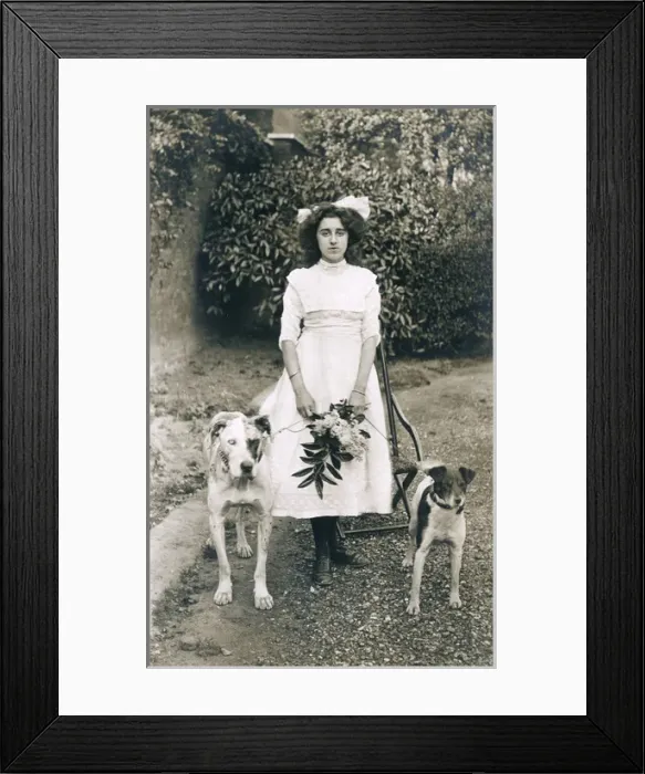 Framed Print : Young woman with two dogs in a garden Framed Print : Young woman with two dogs in a garden