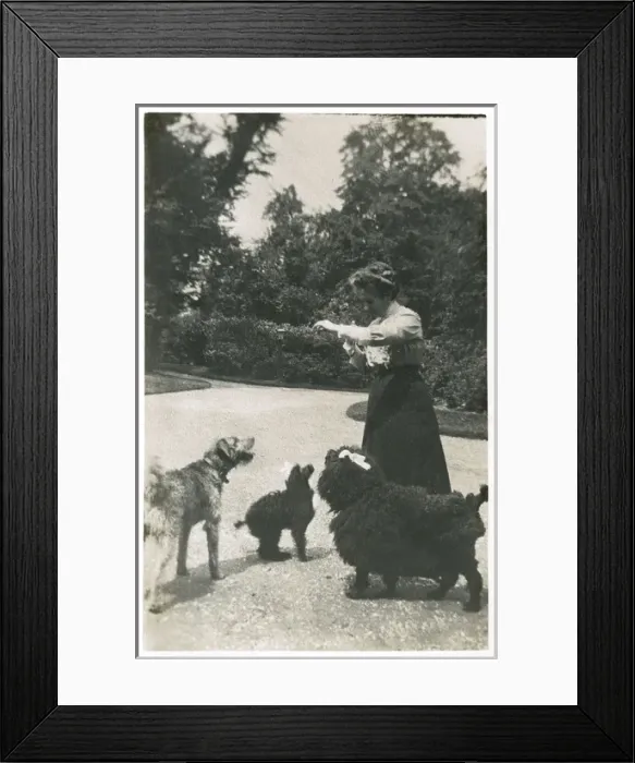 Framed Print : Woman with three dogs in a garden Framed Print : Woman with three dogs in a garden