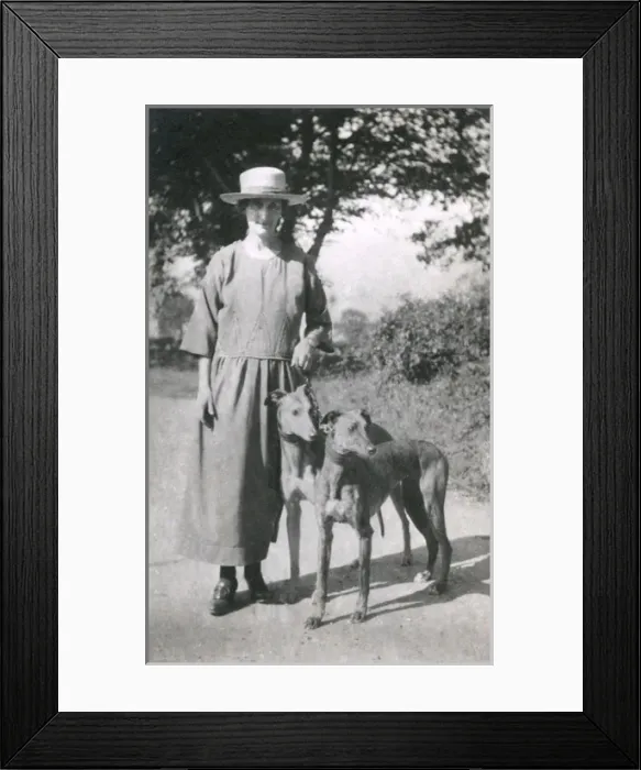 Framed Print : Woman with two dogs on a country lane