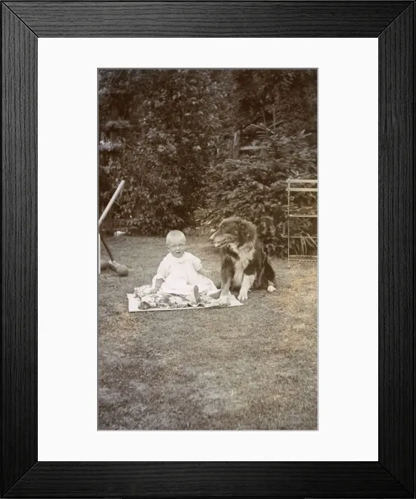 Framed Print : Baby and dog in a garden Framed Print : Baby and dog in a garden