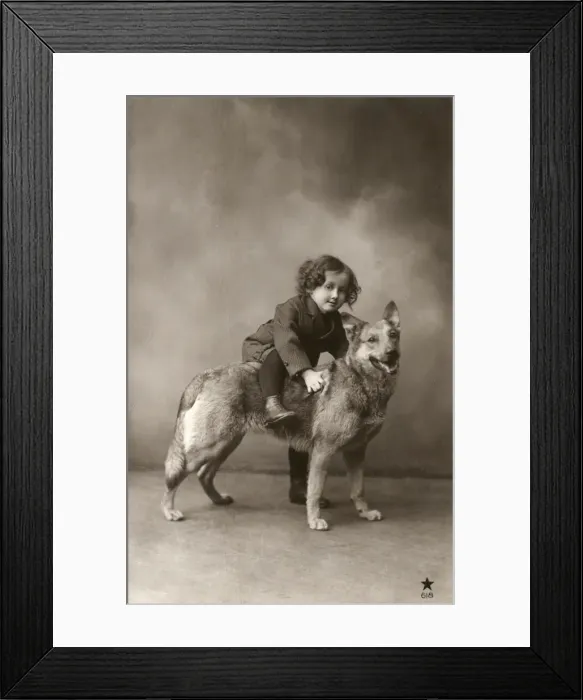 Framed Print : Studio portrait, child sitting on back of dog, France Framed Print : Studio portrait, child sitting on back of dog, France