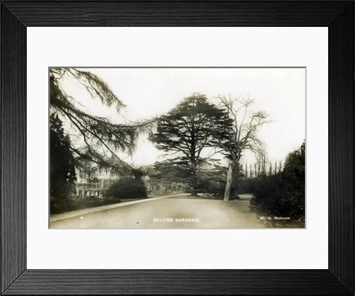 Framed Print : Belton House, Grantham, Lincolnshire Framed Print : Belton House, Grantham, Lincolnshire