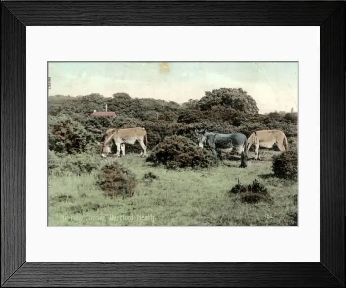 Framed Print : He-haw Corner, Dartford Heath, Kent Framed Print : He-haw Corner, Dartford Heath, Kent