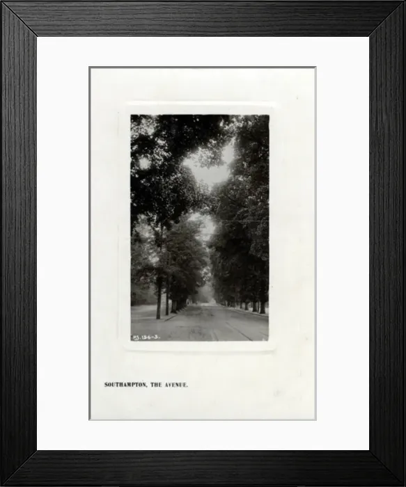 Framed Print : The Avenue, Southampton, Hampshire Framed Print : The Avenue, Southampton, Hampshire