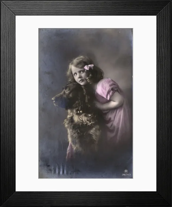 Framed Print : Studio portrait, little girl with large dog Framed Print : Studio portrait, little girl with large dog