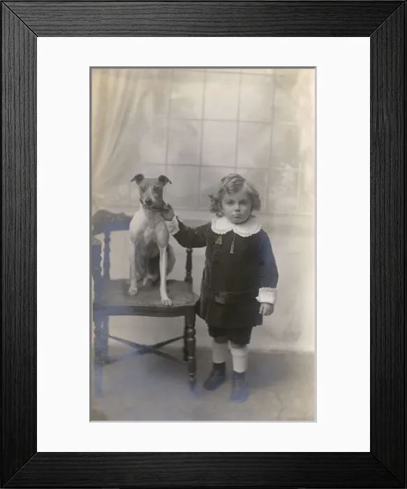 Framed Print : Studio portrait, boy with Jack Russell terrier Framed Print : Studio portrait, boy with Jack Russell terrier