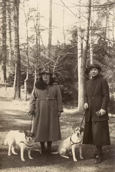 Two women out walking with dogs