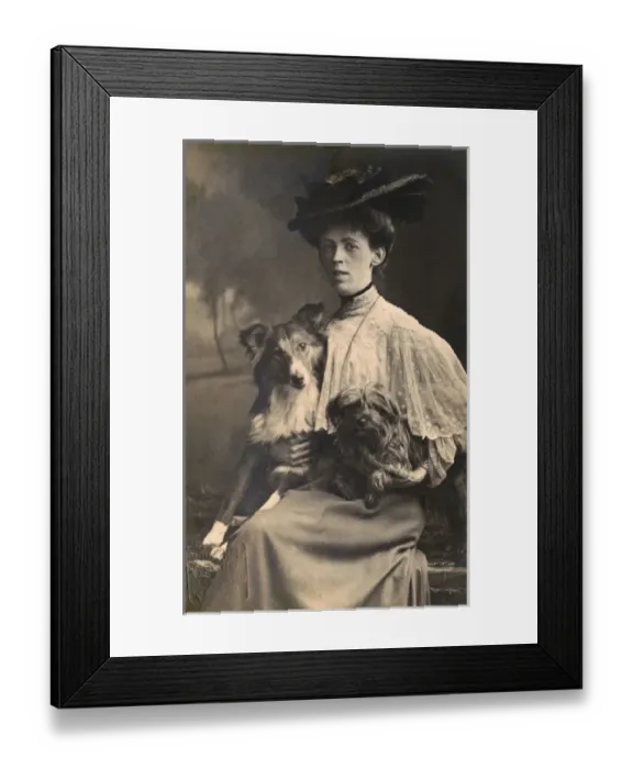 Framed Print : Studio portrait, woman with two dogs Framed Print : Studio portrait, woman with two dogs