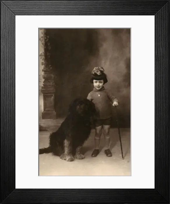 Framed Print : Studio portrait, little girl with large dog, France Framed Print : Studio portrait, little girl with large dog, France
