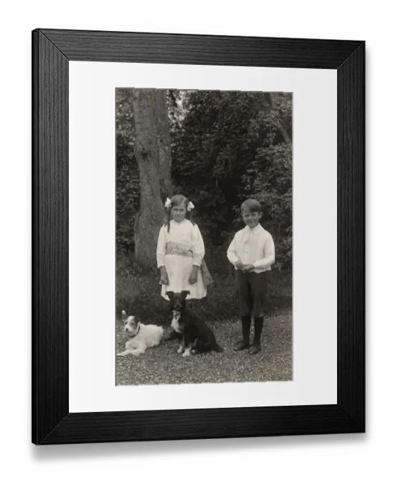 Framed Print : Girl and boy with two terrier dogs in a garden Framed Print : Girl and boy with two terrier dogs in a garden