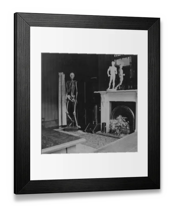 Framed Print : Skeleton in classroom Framed Print : Skeleton in classroom