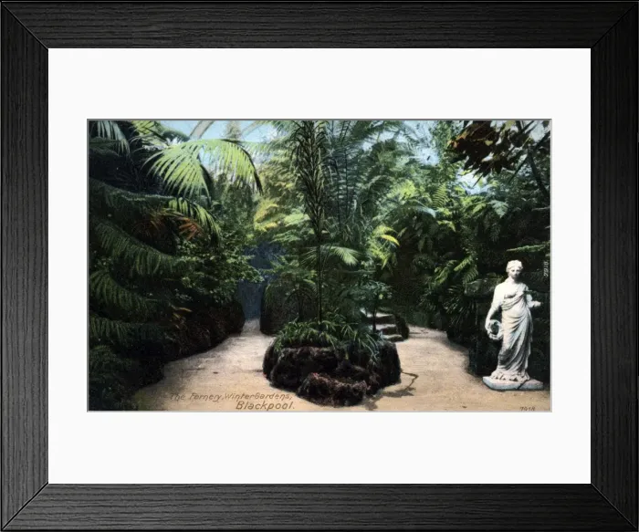Framed Print : The Fernery - Winter Gardens, Blackpool, Lancashire Framed Print : The Fernery - Winter Gardens, Blackpool, Lancashire