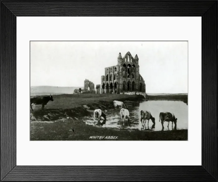 Framed Print : The Abbey, Whitby, Yorkshire Framed Print : The Abbey, Whitby, Yorkshire