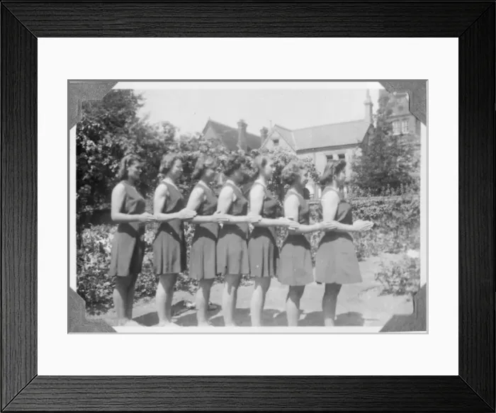 Framed Print : The dancing demonstration Framed Print : The dancing demonstration