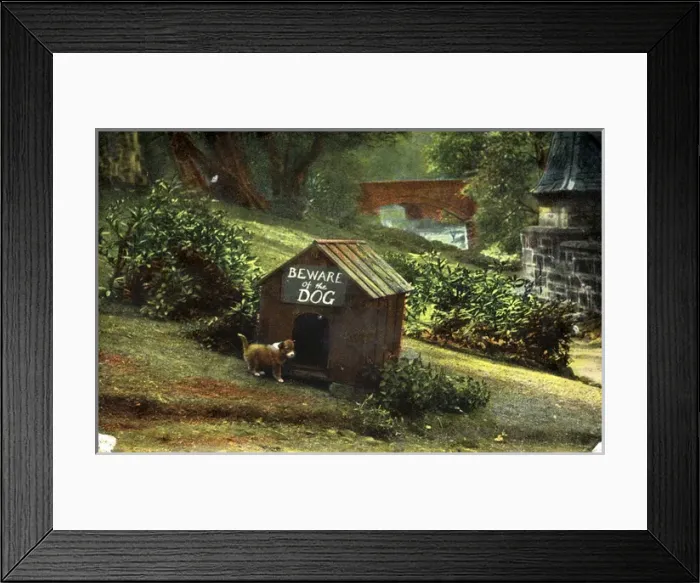 Framed Print : Dog & Kennel Framed Print : Dog & Kennel