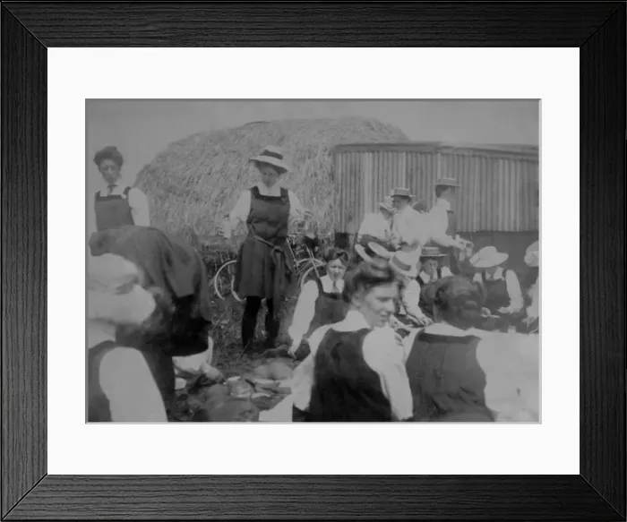 Framed Print : Picnic by haystack Framed Print : Picnic by haystack