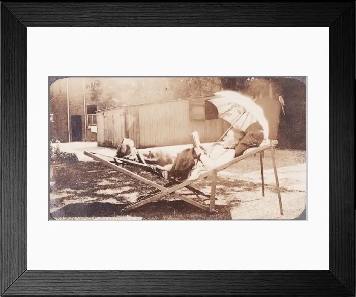 Framed Print : Miss Roberts Framed Print : Miss Roberts