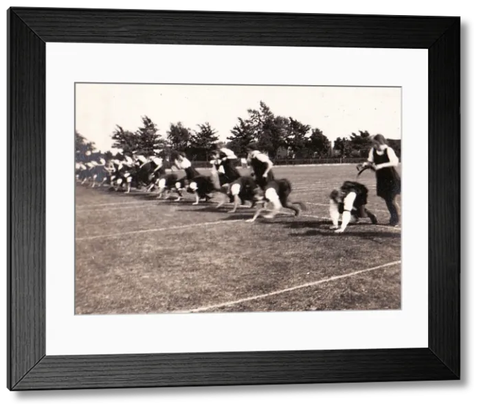 Framed Print : The Hobble and Poddle Race Framed Print : The Hobble and Poddle Race