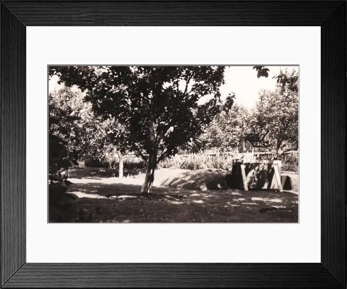 Framed Print : Air raid shelter Framed Print : Air raid shelter