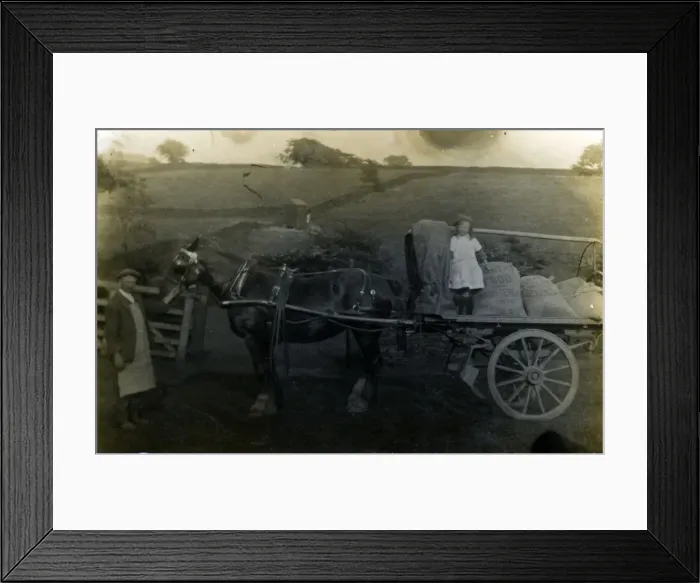 Framed Print : Horse & Cart of Hopwood - Family Grocer, Shelley, Yorkshire Framed Print : Horse & Cart of Hopwood - Family Grocer, Shelley, Yorkshire
