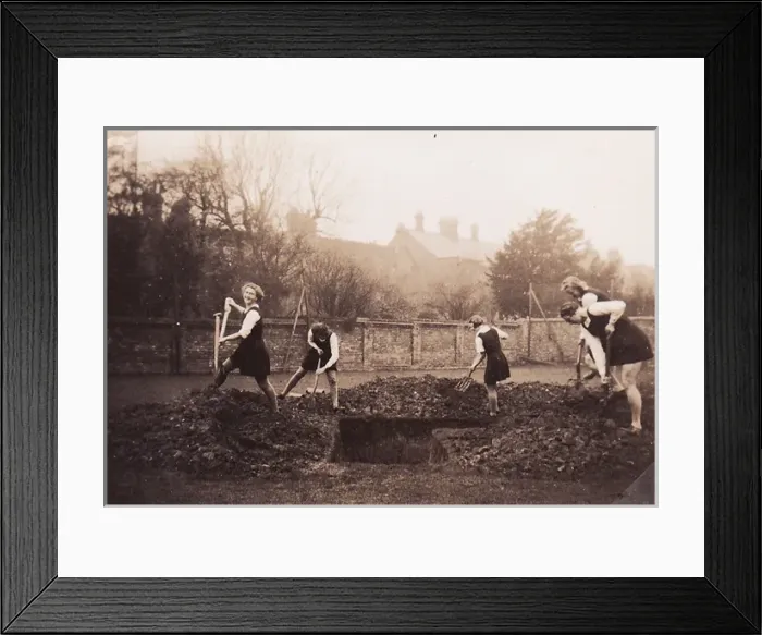 Framed Print : Digging an air raid shelter Framed Print : Digging an air raid shelter