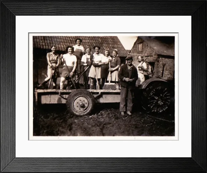 Framed Print : Farming in Devon, from College on trailer Framed Print : Farming in Devon, from College on trailer
