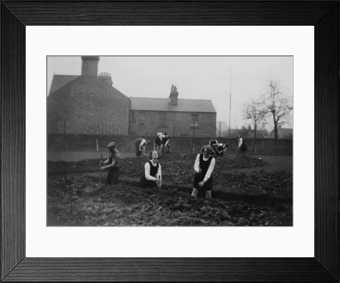 Framed Print : WW2 - Students digging trenches - Munich crisis Framed Print : WW2 - Students digging trenches - Munich crisis