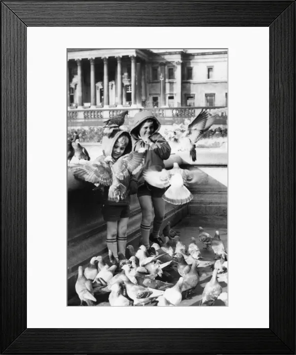 Framed Print : Two boys with pigeons, Trafalgar Square, London Framed Print : Two boys with pigeons, Trafalgar Square, London