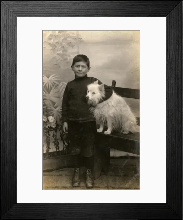 Framed Print : Studio portrait, boy with white dog Framed Print : Studio portrait, boy with white dog