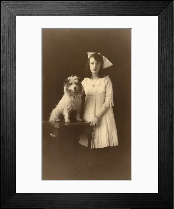 Framed Print : Studio portrait, girl with Yorkshire terrier Framed Print : Studio portrait, girl with Yorkshire terrier