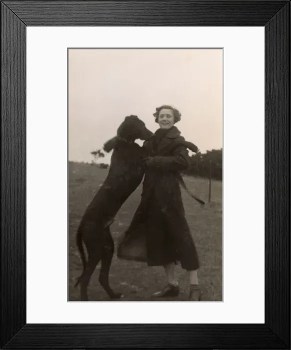 Framed Print : Woman with large dog in a field Framed Print : Woman with large dog in a field