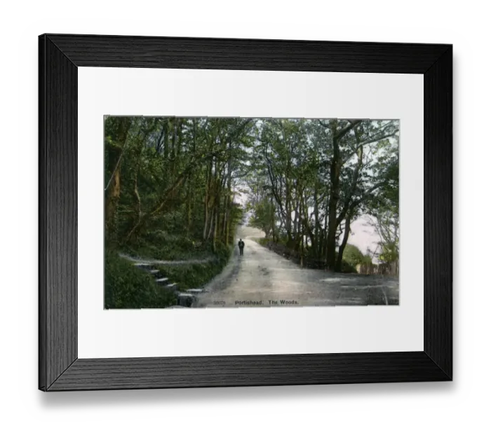 Framed Print : The Woods, Portishead, Somerset Framed Print : The Woods, Portishead, Somerset
