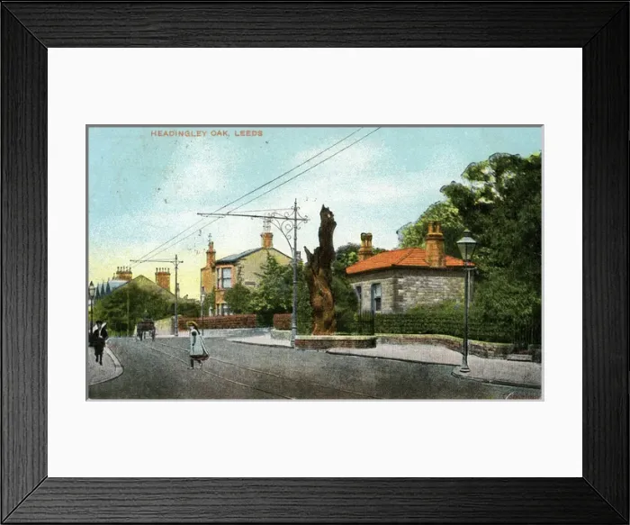 Framed Print : The Headingley Oak, Headingley, Yorkshire Framed Print : The Headingley Oak, Headingley, Yorkshire