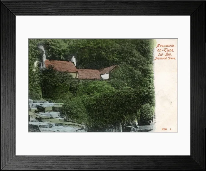 Framed Print : Old Mill, Jesmond Dene, County Durham Framed Print : Old Mill, Jesmond Dene, County Durham