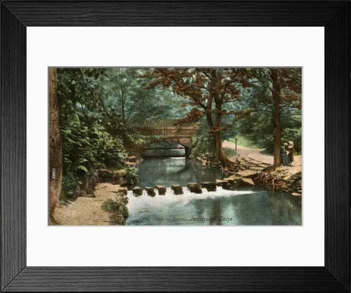 Framed Print : Stepping Stones, Jesmond Dean, County Durham Framed Print : Stepping Stones, Jesmond Dean, County Durham