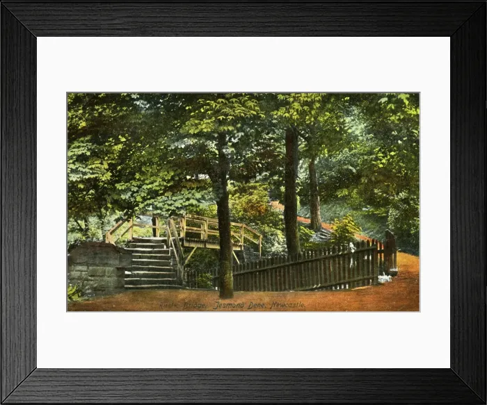 Framed Print : Rustic Bridge, Jesmond Dene, County Durham Framed Print : Rustic Bridge, Jesmond Dene, County Durham